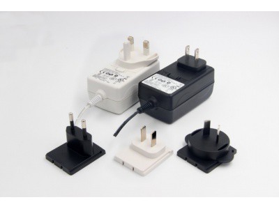 ADAPTER 24W YJS024W 可换式图1